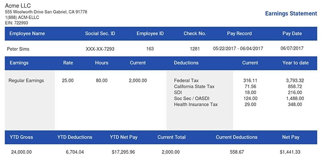 ThePayStubs.com template