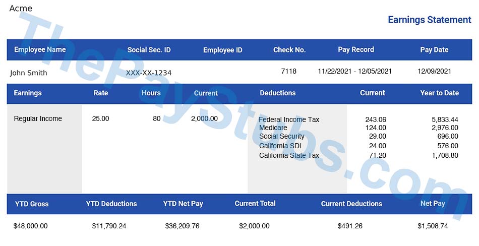 Paystub Sample | ThePayStubs