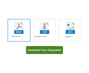 how to create a pay stub step 3