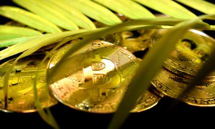 Bitcoin Taxes: Top Tax Tips For Bitcoin And Virtual Currency Advocates