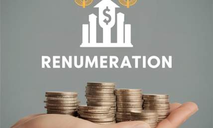 Remuneration Meaning: Everything You Need To Know