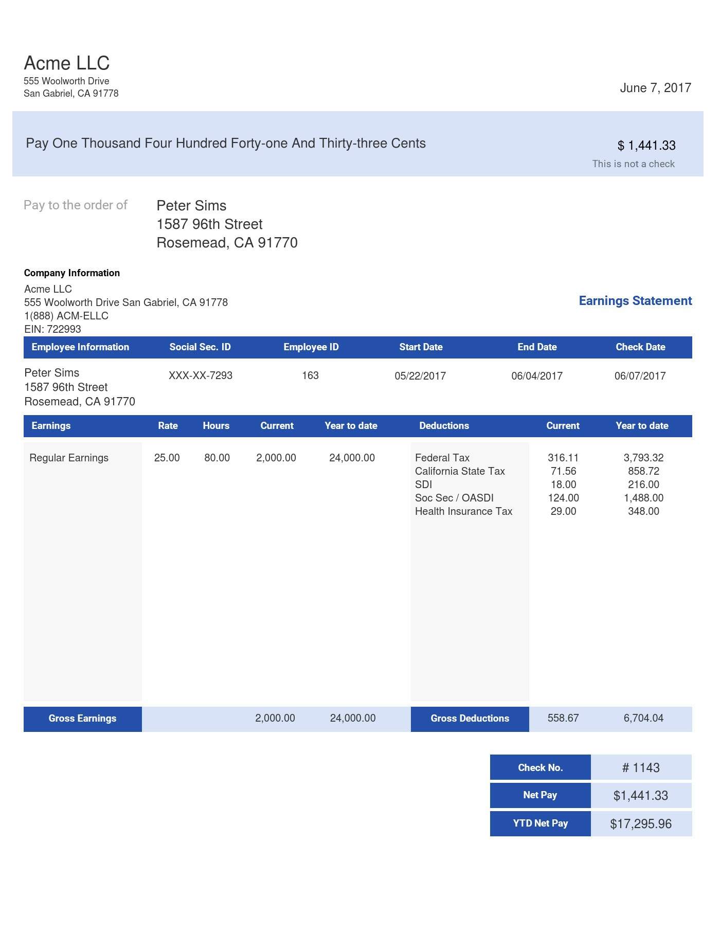 Long Blue Paystub Sample Template